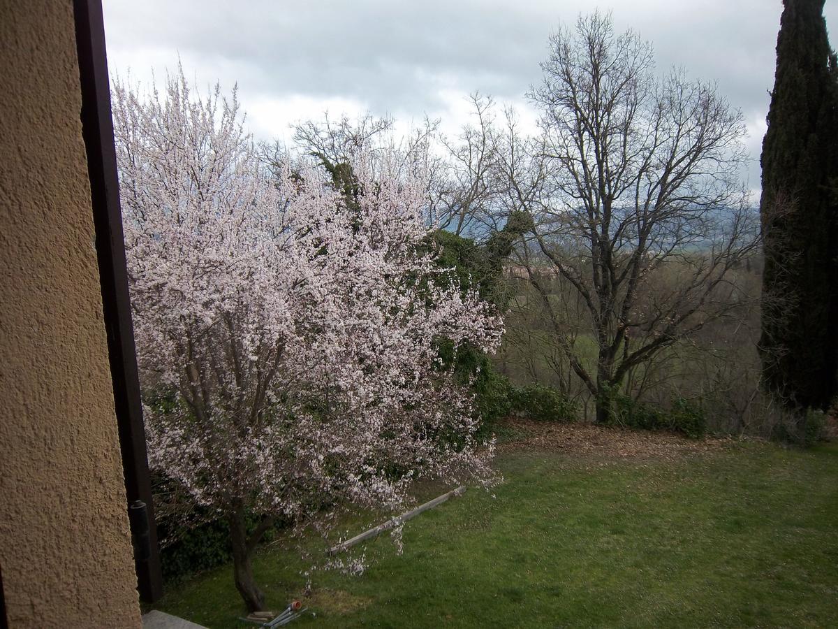 Agriturismo Villa Mozart Nel Verde Gubbio Eksteriør bilde