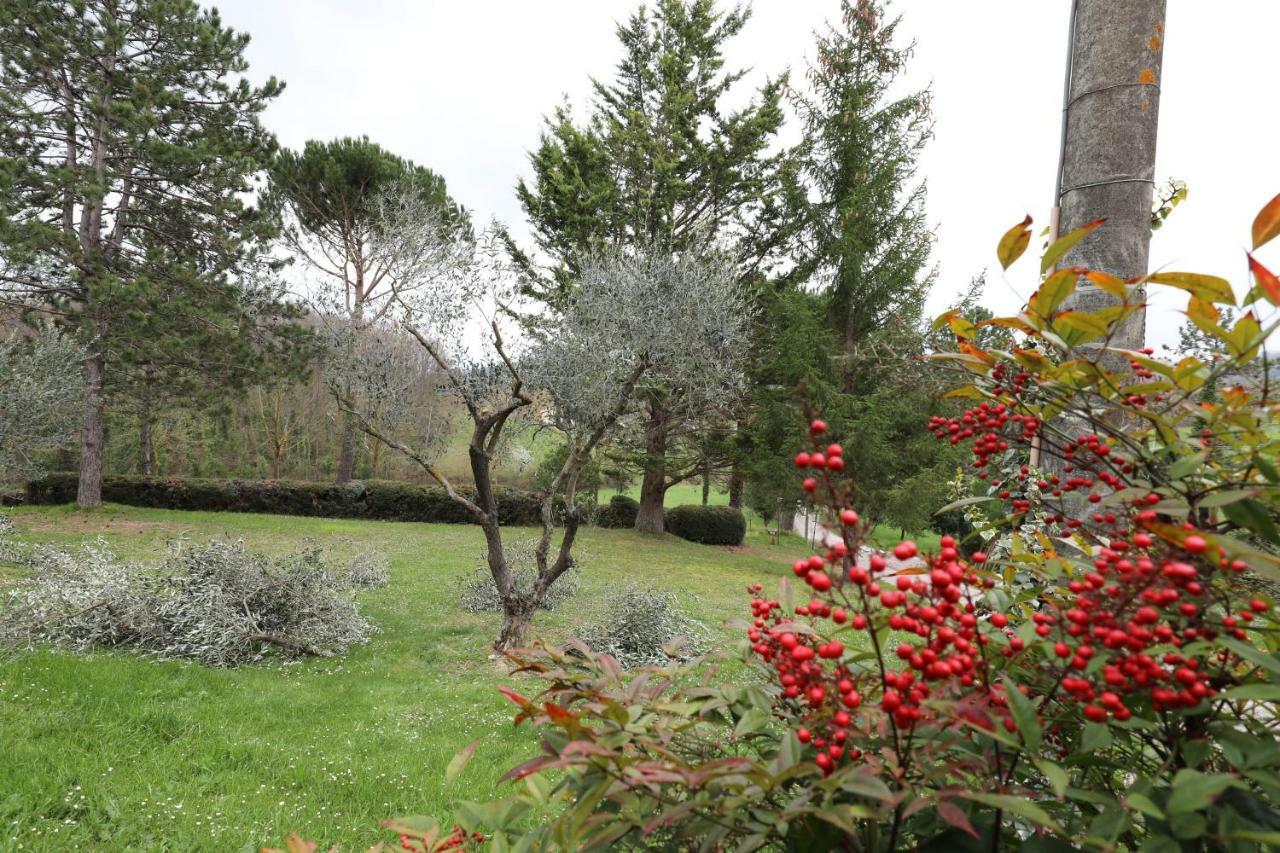 Agriturismo Villa Mozart Nel Verde Gubbio Eksteriør bilde